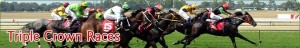 Triple Crown Races