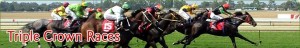 Triple Crown Races