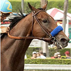 American Pharoah