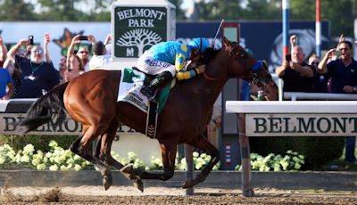 American Pharoah Wins Triple Crown