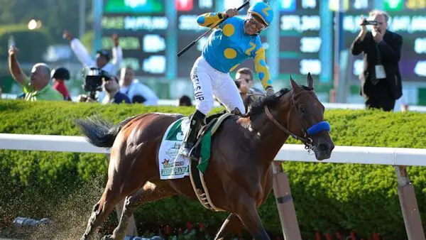 Take a 360-degree GoPro ride on winning horse American Pharoah - CNET