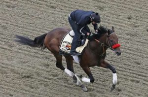 Nyquiest Preakness