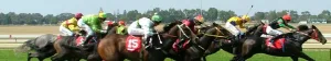 Triple Crown Races